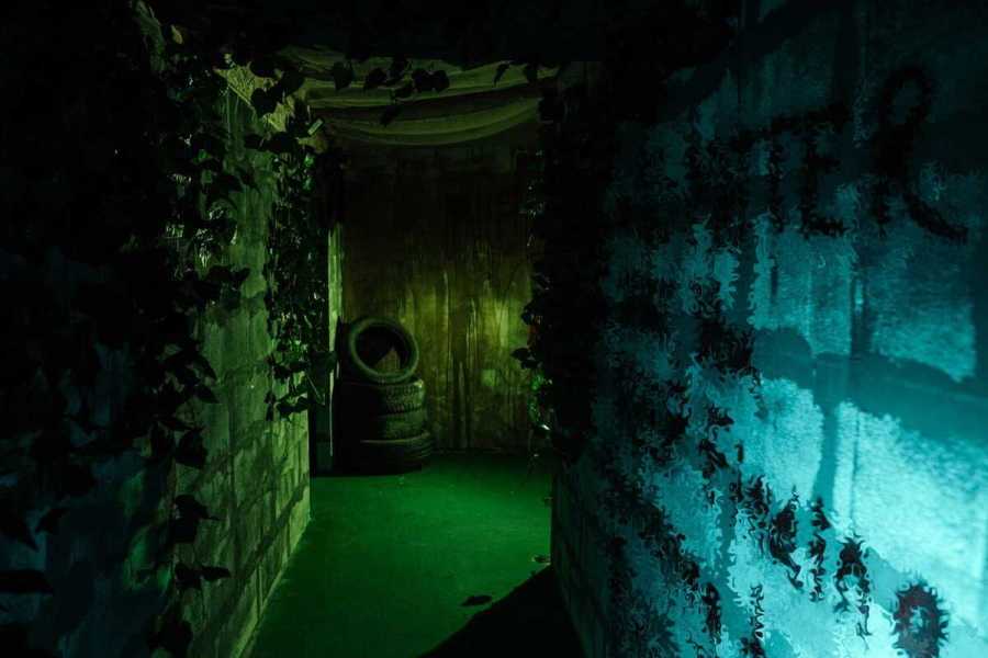 Квест в реальности Одни из нас от компании Quest Stars/Адаптация Квест в реальности Одни из нас от компании Quest Stars/Адаптация