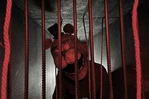 Квест FNAF: Five Nights at Freddy's