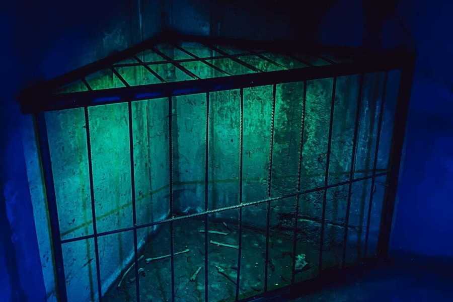 Квест в реальности Я - легенда от компании Поворот не туда Квест в реальности Я - легенда от компании Поворот не туда