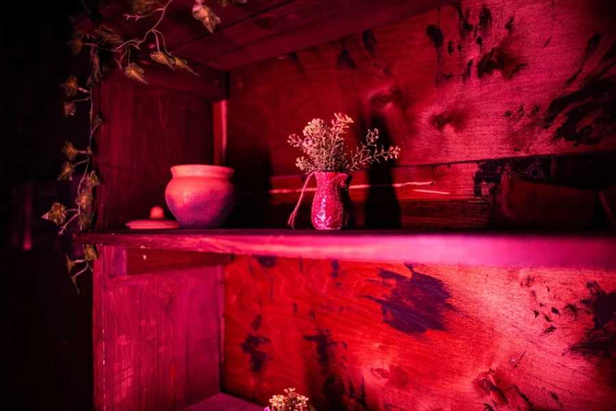 Квест в реальности Маргарет от компании Поворот не туда Квест в реальности Маргарет от компании Поворот не туда